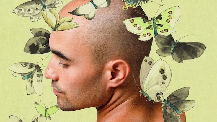 Mâles au cheveux