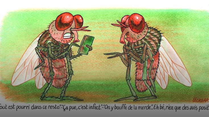 CritiquerWebOmbre