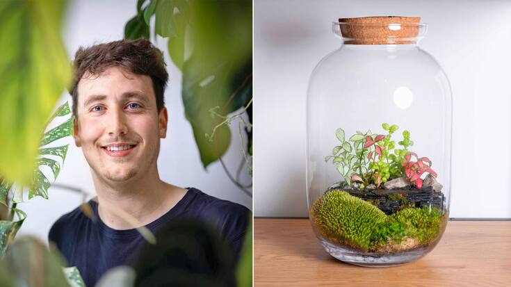 terrariums de Chris