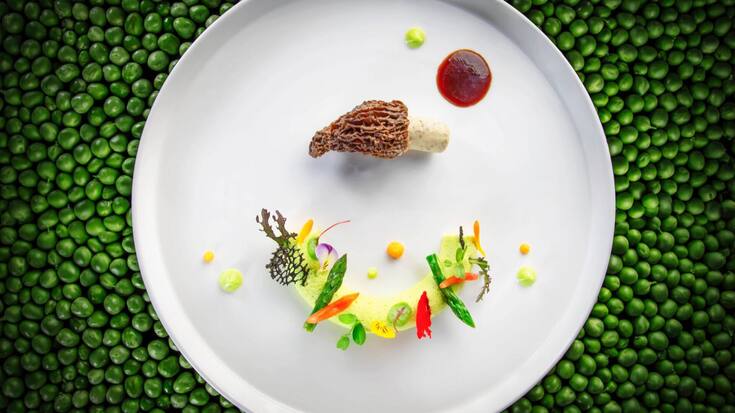 mousse d’asperges et morille restructurée