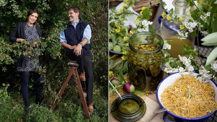 santé plantes