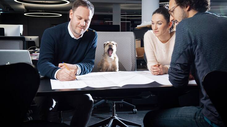 animaux bureau
