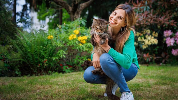 Katie Hesse avec son chat avec son chat de race, un maine coon, Santi, 13 ans