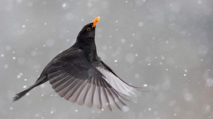 file746c4hkil6sx0u1kfmu