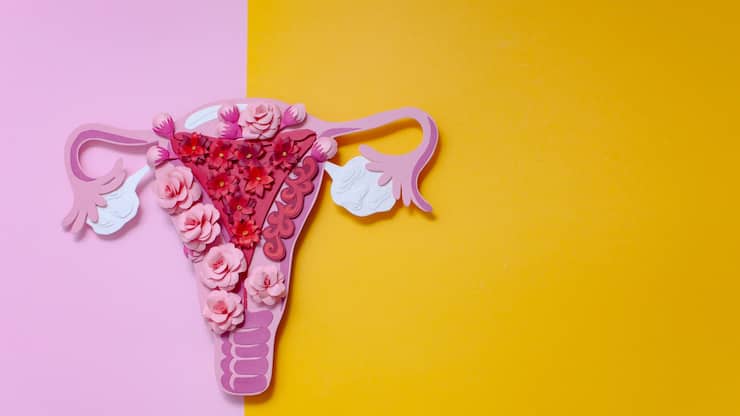 file7ajewrsk9tz4l2ylhq8