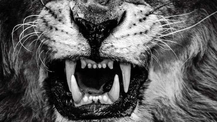 file7bhc9bkqshh1guy4n39r