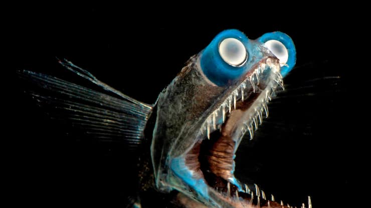 file7a9sromn1xw13fj0wl01