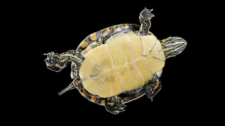 file78ufuqxhi37ieymgdb8