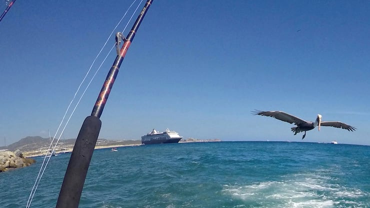 file74jndcau10n12q0qjh0z