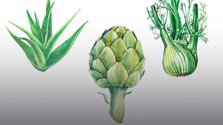 file78g0x6p26sg12m609hsu