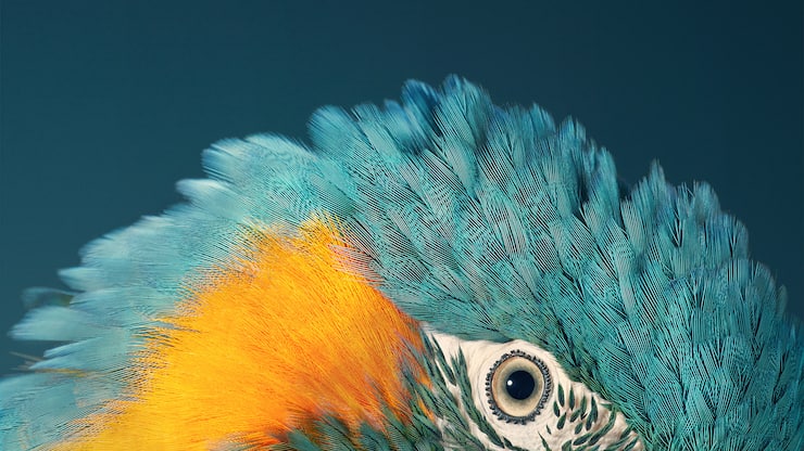 file73z2zjhfngi73lfqm9h