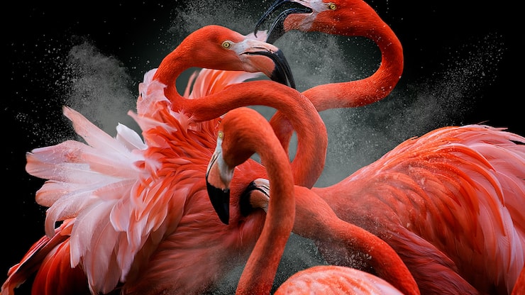 file71ovn8yp0axyhf74fvh