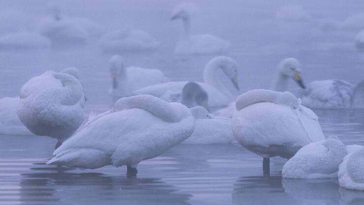 file7dhf00fgya8r8x9faz7