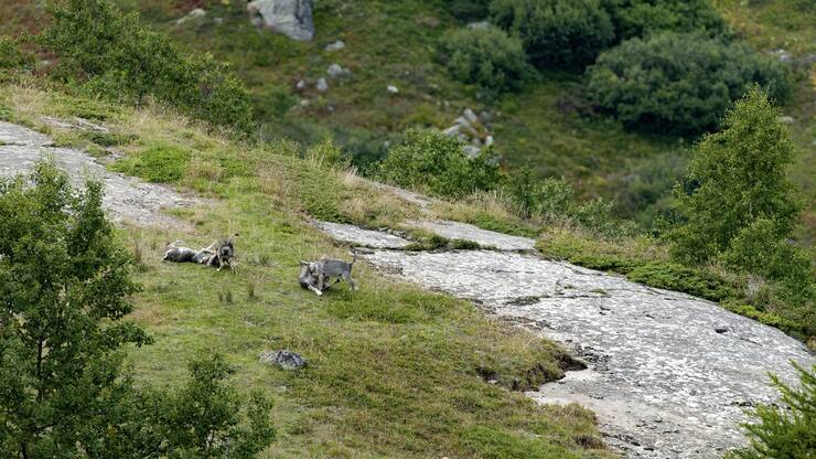 file790z3i820t01f18av5pl