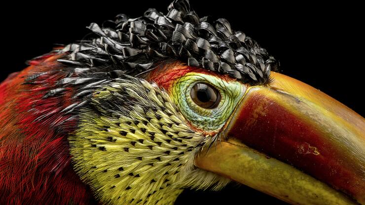 file7ddow9l8v05kluap302