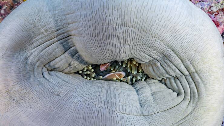 file789wtv7m1ew15lisqfch