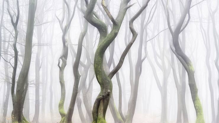 file78re0fumvqt8b5zokc9