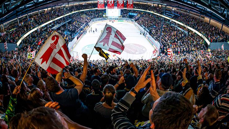 file7954vhg6qlsoaayvhge