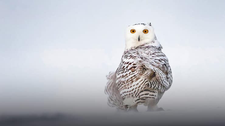 file79dcznfzlz71gdkbph6s