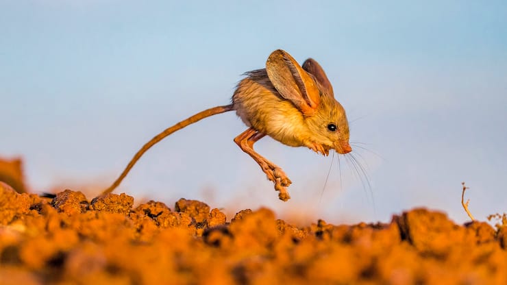 file79h2rmu73sj16tloiex0