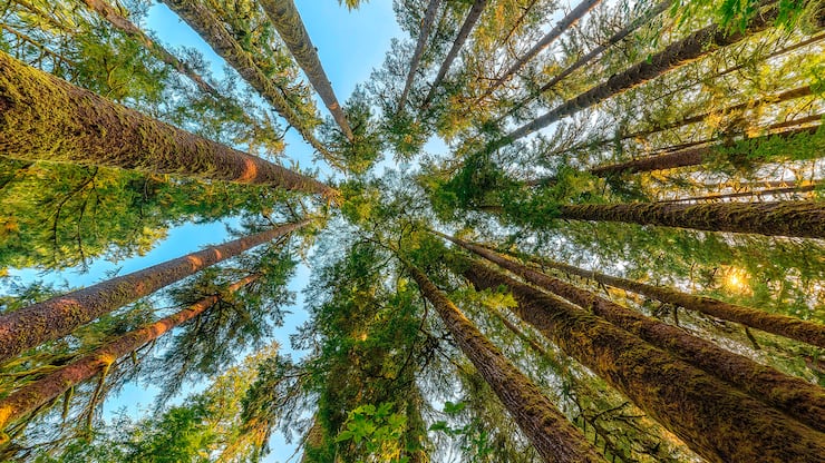 file7agwxm5iu751cve4xbeq