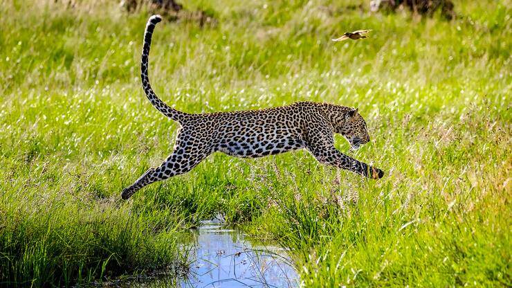 file7cfdwgk69m0h5eq6d9l