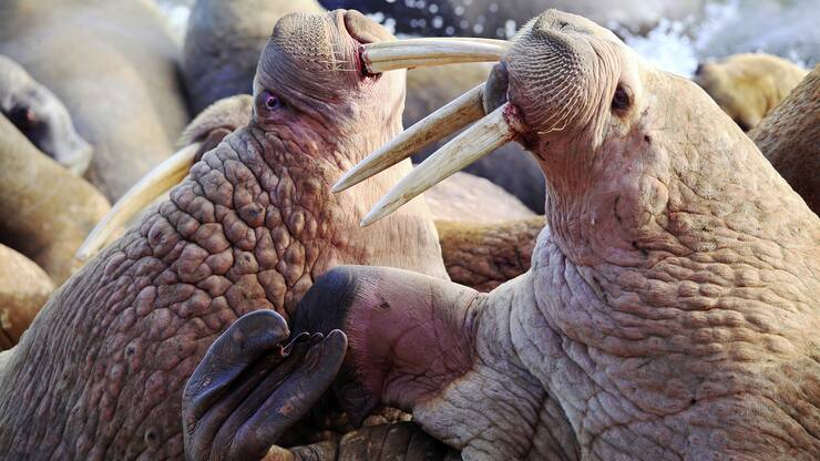 file7d6ig31p6k01mqxjvm78