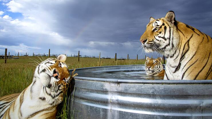 file7da5kdyojlwqzo0uj28