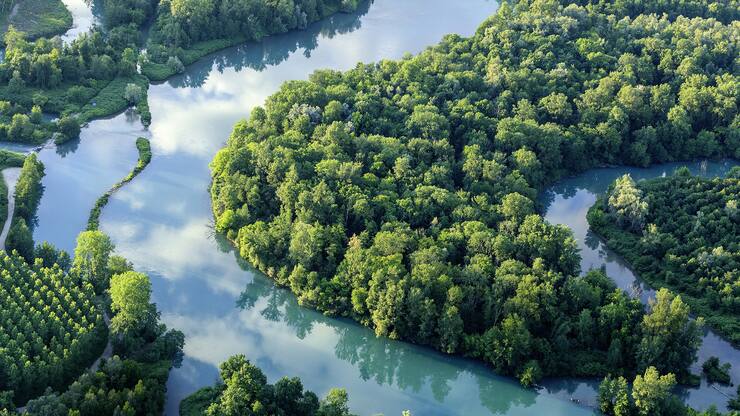 Le Rhône, fleuve aux mille visages