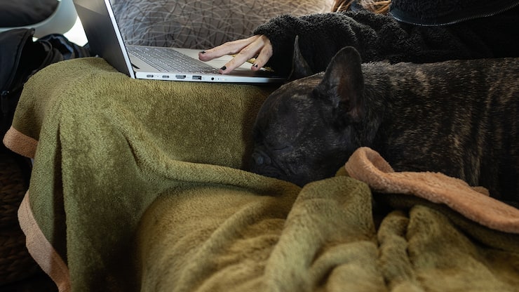 télétravail en cas de pénurie d'énergie