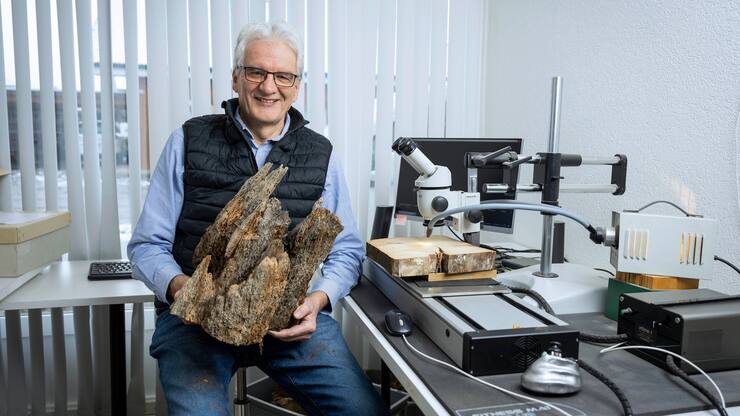 Jean-Pierre Hurni travaillant pour le Laboratoire Romand de dendrochronologie de Cudrefin. 