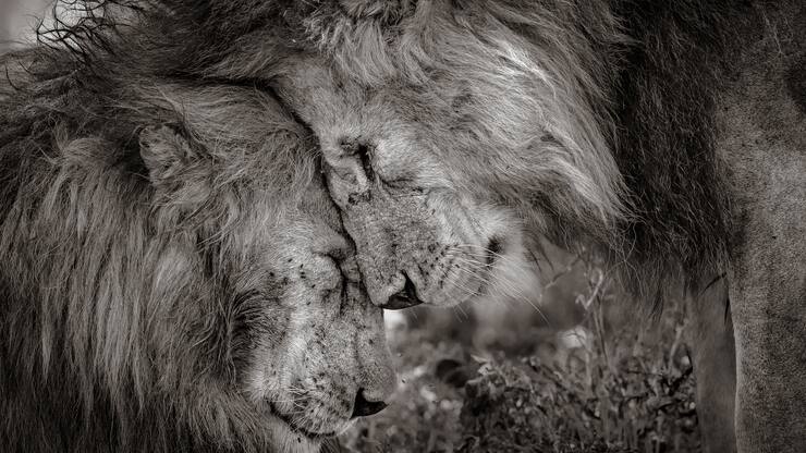 file743744jtkw09n6feas5