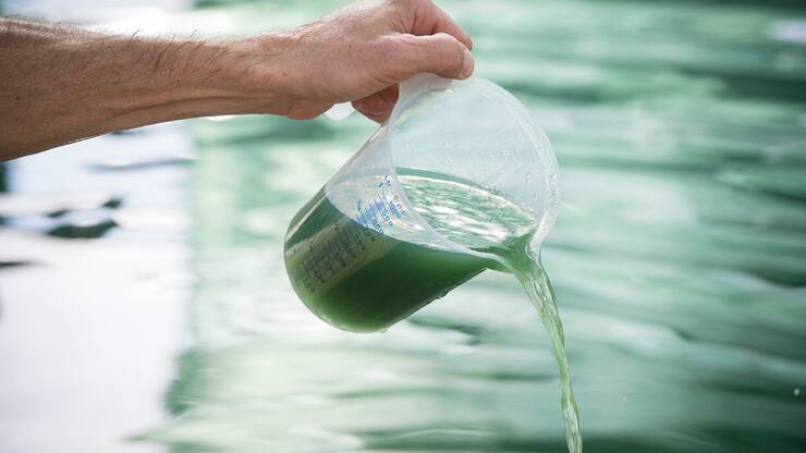 file78uujx9gej8458pj8zg