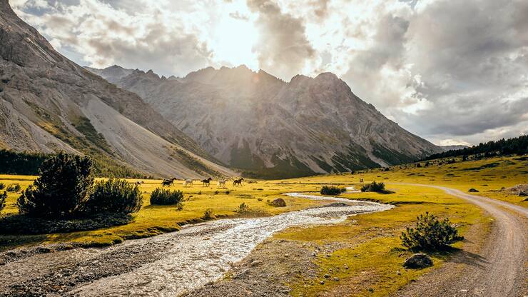 file7b4nt1mum9l1bb9w6o4v