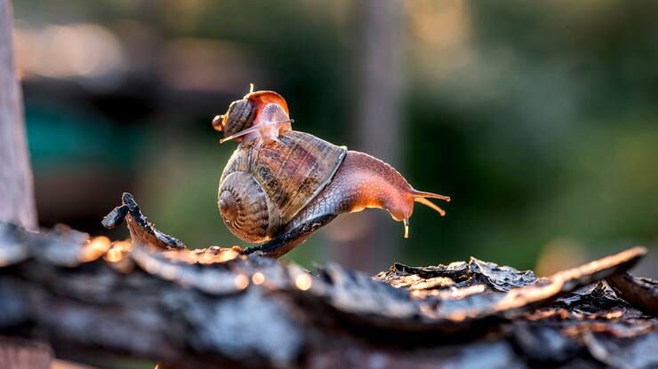 file7b65andvmu81498pgawg