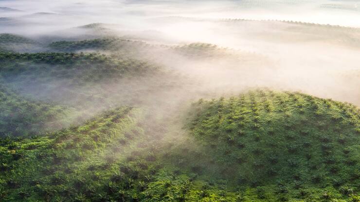 file77rwopaia7b3773znxk