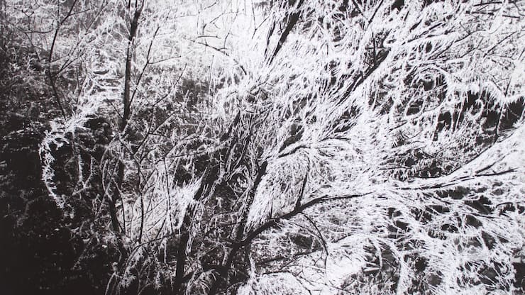 Exposition «Branche de lilas» du 2 au 23 décembre à Vevey