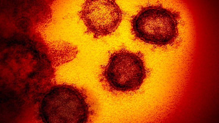 file79uv7hi98b51jyvj2ohs