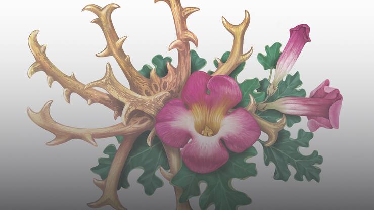 file78cu9ou8m781ddnigetf