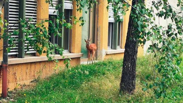 file7b2jskys01u105bcbf9