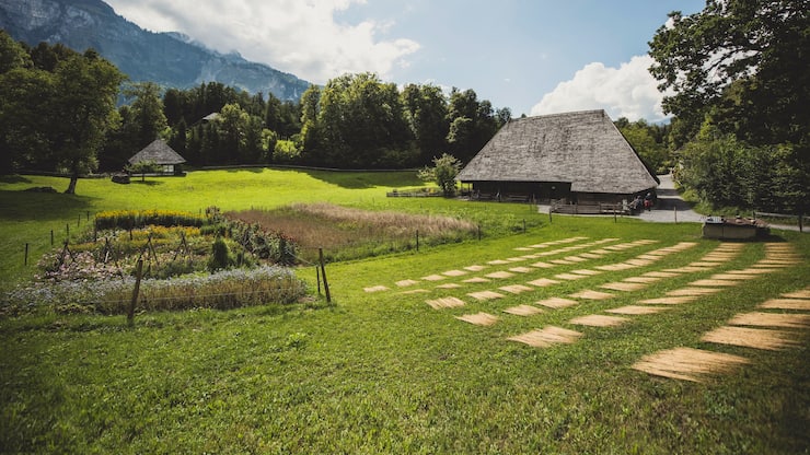 Musée suisse en plein air de Ballenberg
