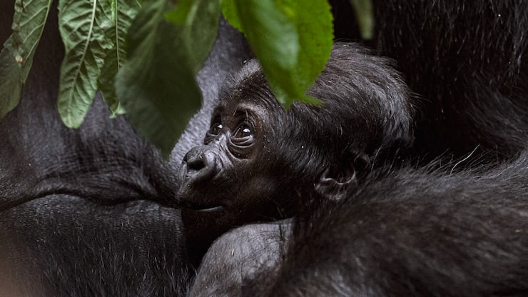 file77k5v74nfbdhgtd7oyv