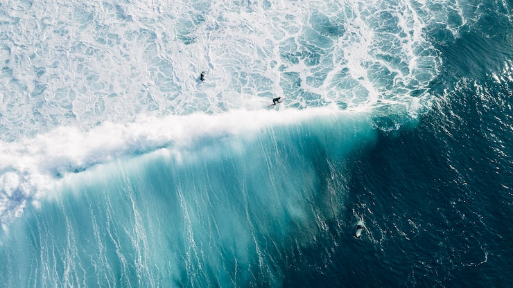 file71h8gcitqnmeeo4xpn