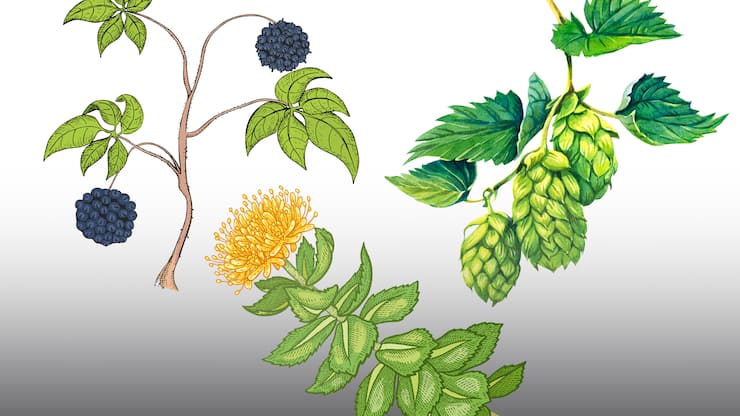 file78z2y5ugtjdyfkoc8w9