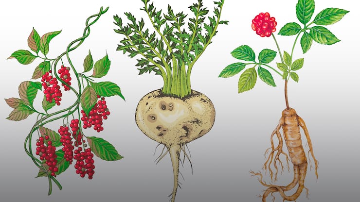 file79knqkzl71u1ejjcv9sl