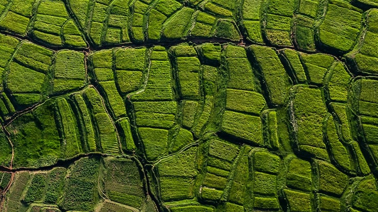 file73oatu3jm3dm3oxml2s