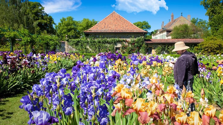 Le Château de Vullierens