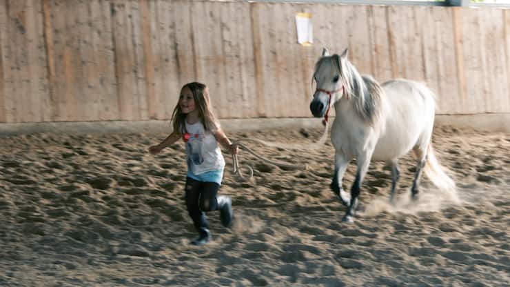 file75zosykw205oo8rcc5h