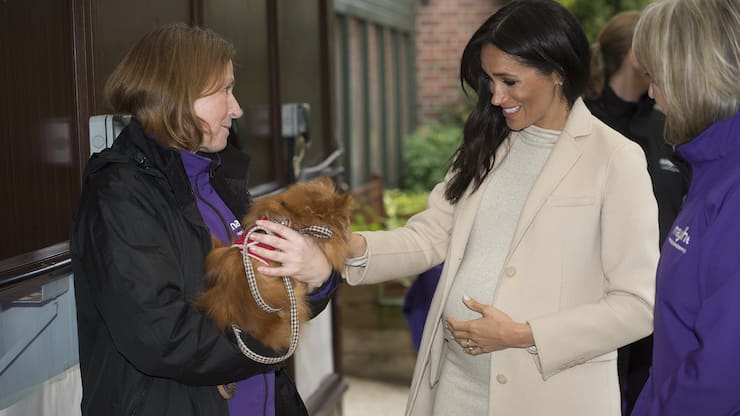 file73nycbgmchx1k2z6xi6d