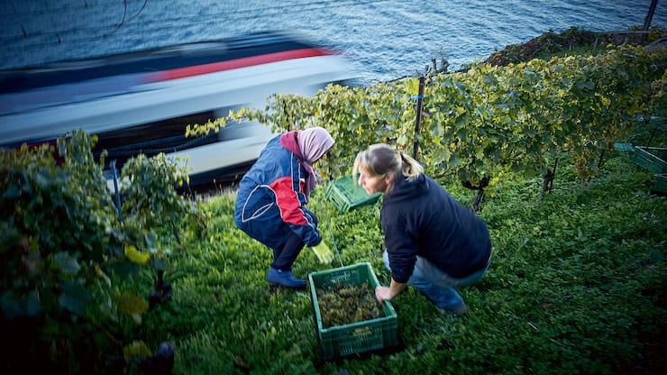 file79z02wd4uaa1b8m4hohq